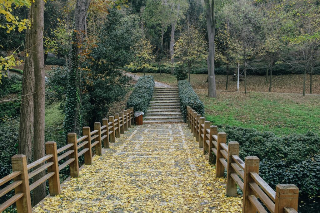 Tranquil wooden bridge in a park, covered with vibrant autumn leaves, leading to stairs.